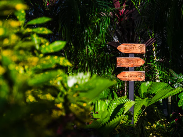 Lush Tropical Jardín Oasis