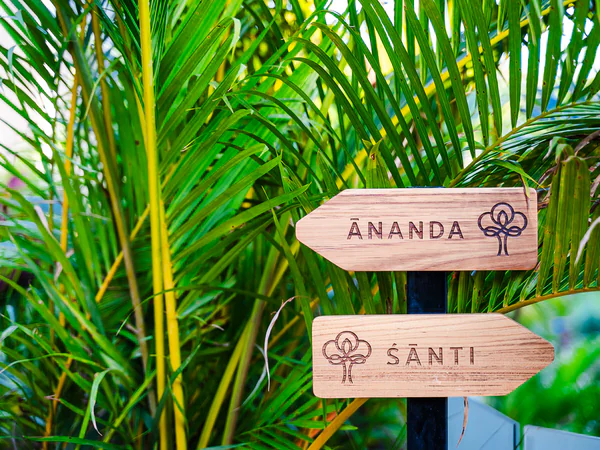 Tranquil Jardín Oasis con Elegante Signage