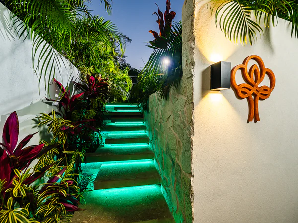 Enchanting Illuminated Garden Pathway