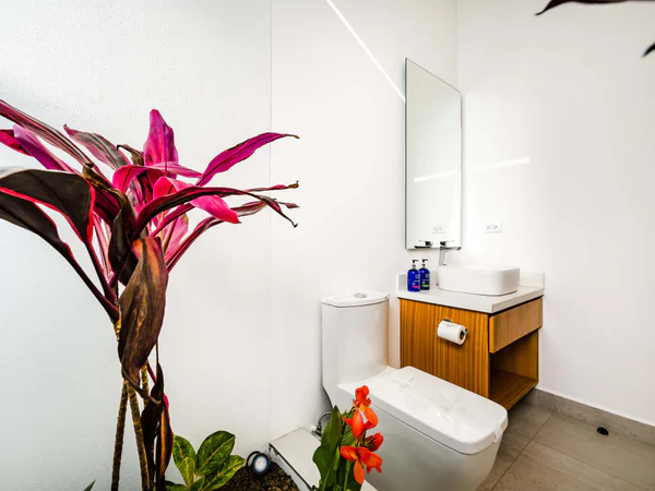 Elegante Baño Oasis con Moderno Accesorios