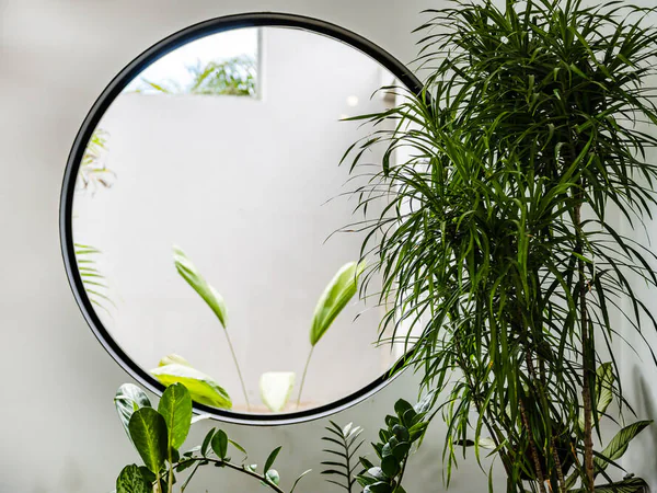 Serene Interior-Exterior Oasis con Lush Greenery